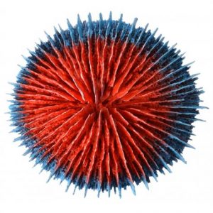 Aquatop Aquarium Coral Decoration - Red/Blue Health Products