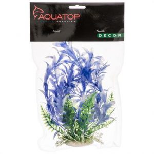 Aquatop Bacopa Aquarium Plant - Blue & White Health Products