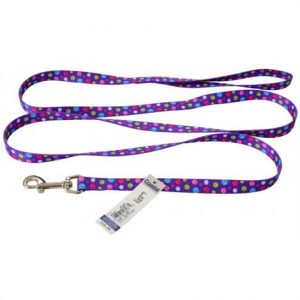 Attire Styles Nylon Dog Leash - Special Paw Health Products