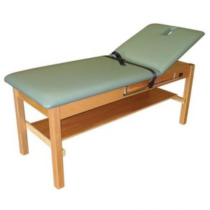 Bailey Back Extension Professional Treatment Table Health Products