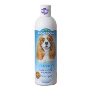 Bio Groom Indulge Sulfate-Free Shampoo Health Products