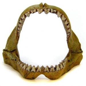 Blue Ribbon Great White Shark Jaws Ornament Health Products