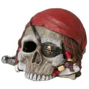 Blue Ribbon Pirate Skull Ornament Health Products