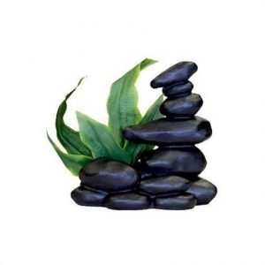 Blue Ribbon Zen Spa Stones with Plant - Black Health Products