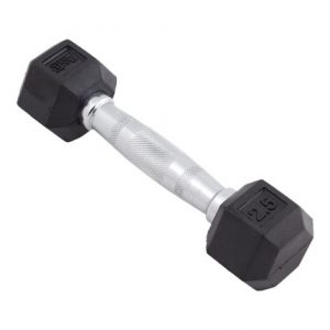 Body Sport Rubber Encased Hex Dumbbell Health Products