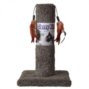 Classy Kitty Cat Scratching Post with Feathers Health Products