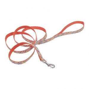 Coastal Attire Ribbon Nylon Dog Leash Health Products