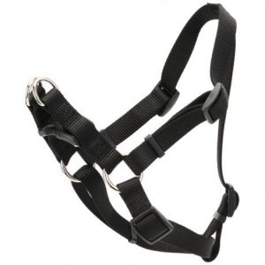 Coastal Comfort Wrap Adjustable Harness - Black Health Products