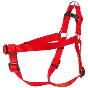 Coastal Comfort Wrap Adjustable Harness - Red Health Products