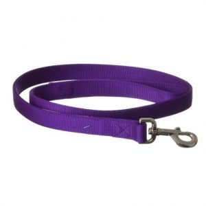 Coastal Double Nylon Lead - Purple Health Products