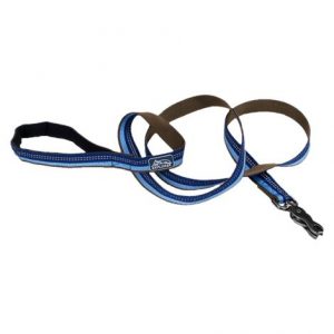 Coastal K9 Explorer Reflective Dog Leash with Scissor Snap Health Products