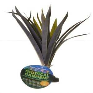 ColorBurst Florals Dracaena Deremensis Broad Red Leaf Aquarium Plant Health Products