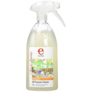 Earthy itgrain All Purpose Cleaner Health Products