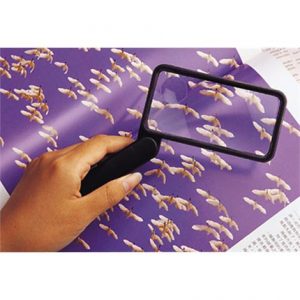 Essential Medical Folding Rectangular Magnifier Health Products