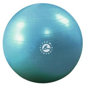 Exertools Burst Resistance Gymball Health Products