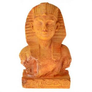 Exotic Environments Terra Cotta King Tut Health Products