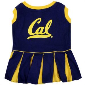 First California Golden Bears Berkeley Cheerleader Dog Dress Health Products