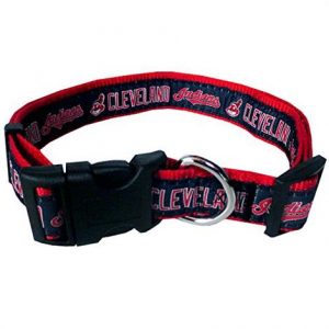 First Cleveland Indians Dog Collar Health Products