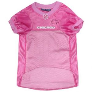 First Dallas Cowboys Pink Mesh Dog Jersey Health Products