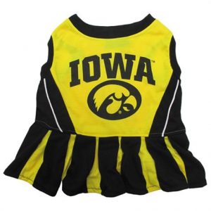 First Iowa Hawkeyes Cheerleader Dog Dress Health Products