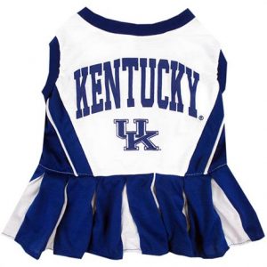 First Kentucky Wildcats Cheerleader Dog Dress Health Products