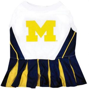 First Michigan Wolverines Cheerleader Dog Dress Health Products