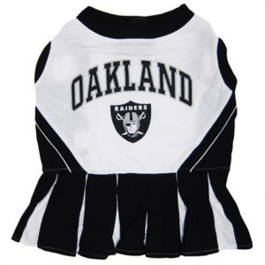 First Oakland Raiders Cheerleader Dog Dress Health Products