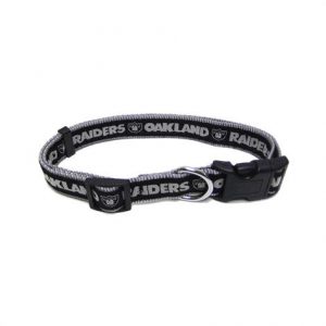 First Oakland Raiders Ribbon Dog Collar Health Products