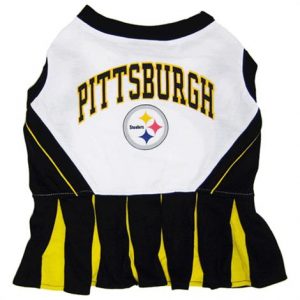 First Pittsburgh Steelers Cheerleader Dog Dress Health Products