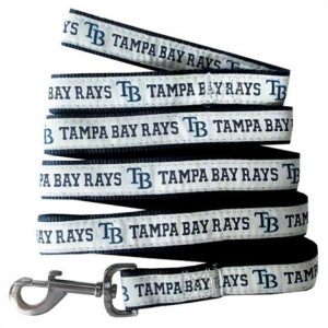 First Tampa Bay Rays Ribbon Dog Leash Health Products