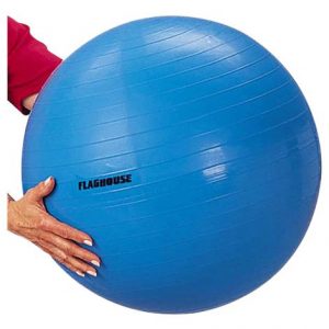 FlagHouse Exercise Ball Health Products