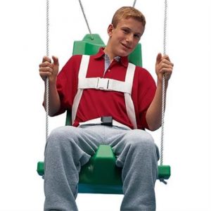 FlagHouse Swing Seat With Pommel Health Products