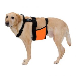 Glacier Tek Chilly Dog Cool Vest Health Products