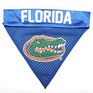 Goods Florida Gators Dog Collar Bandana Health Products