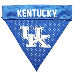 Goods Kentucky Wildcats Dog Collar Bandana Health Products