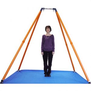 Haleys Joy On The Go III Swing System Health Products