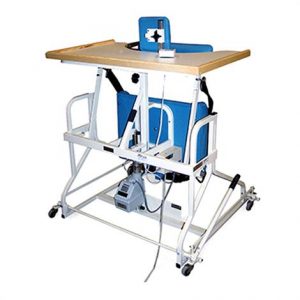 Hausmann Bariatric Electric Stand-In Table Health Products