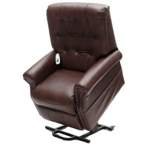 Healthline Neptune Infinite Position Lift Chair Health Products