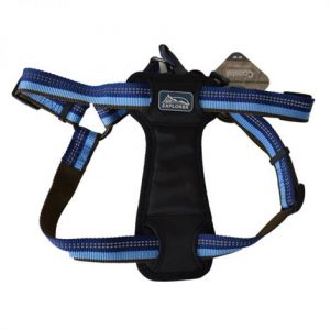 K9 Explorer Sapphire Reflective Adjustable Padded Dog Harness Health Products