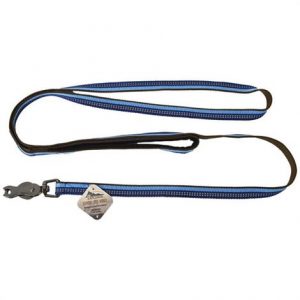 K9 Explorer Sapphire Reflective Leash with Scissor Snap Health Products