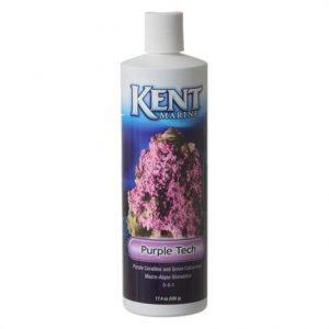 Kent Marine Purple Tech Health Products