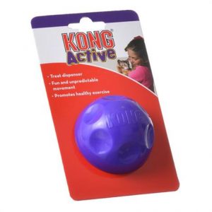 Kong Active Cat Treat Ball Health Products