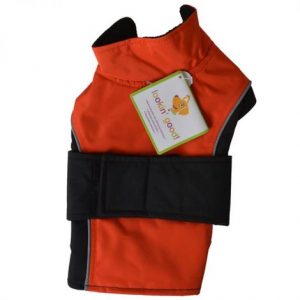 Lookin Good Waterproof Reflective Dog Coat - Orange Health Products