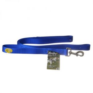 Loops 2 Double Nylon Handle Leash - Blue Health Products