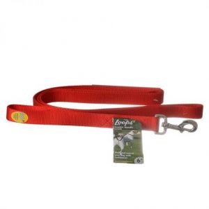 Loops 2 Double Nylon Handle Leash - Red Health Products