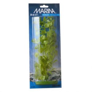 Marina Cardamine Plant Health Products