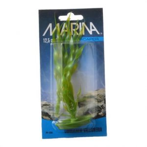 Marina Corkscrew Val Plant Health Products