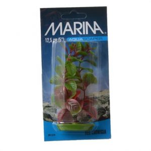 Marina Red Ludwigia Plant Health Products