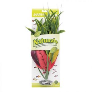 Marina Silk Dracena Aquarium Plant - Red & Yellow Health Products