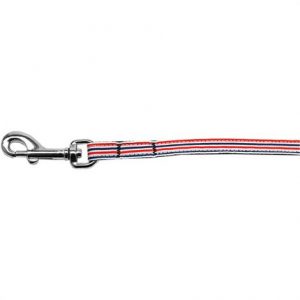 Mirage Patriotic Stripes Nylon Ribbon Leash Health Products